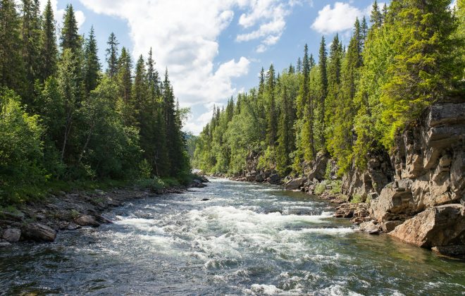 Beredskap i samhället Varför är det viktigt?